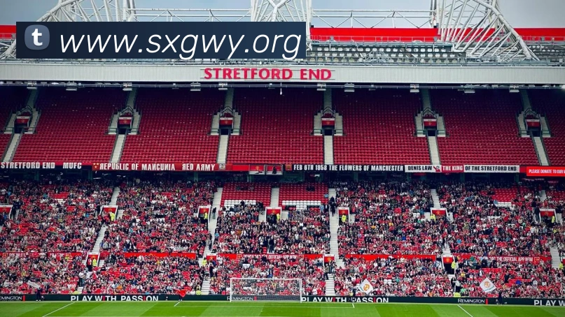 必一体育sport的行业动态APP 体育赛事宣传图